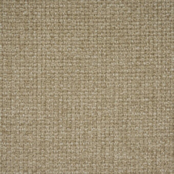Dharma-dis100-col-103-fango
